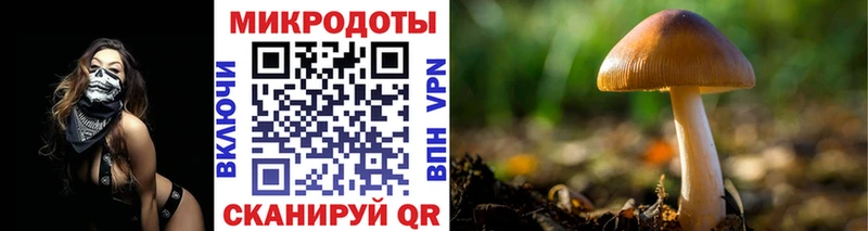 hydra как зайти  Троицк  Псилоцибиновые грибы GOLDEN TEACHER  цена наркотик 
