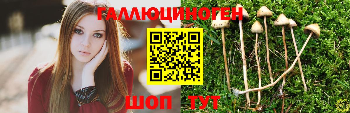 Псилоцибиновые грибы мицелий Троицк