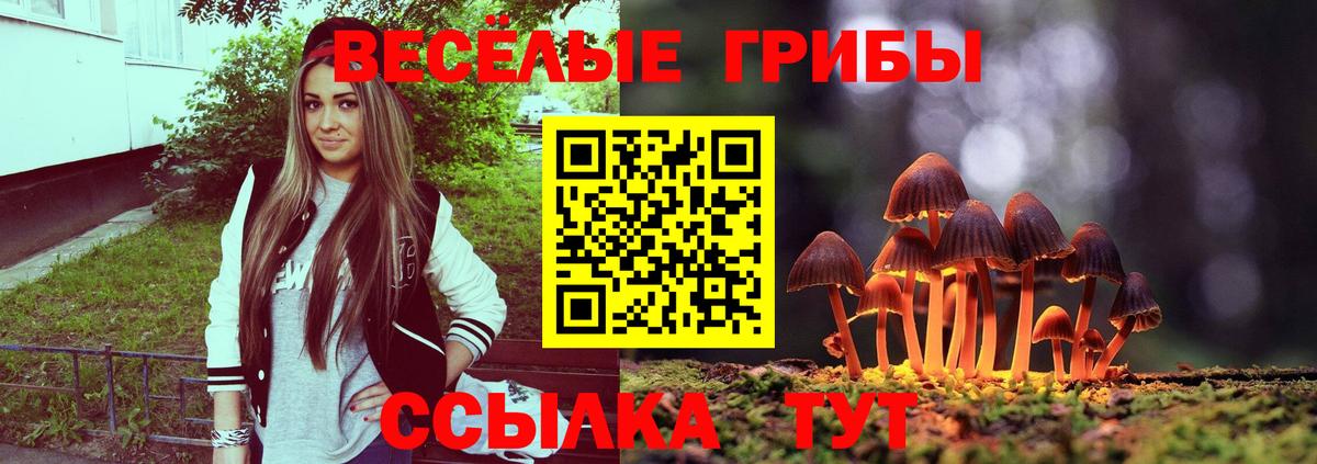 Псилоцибиновые грибы ЛСД  Галлюциногенные грибы прущие грибы  закладки  Троицк  Вход с VPN 